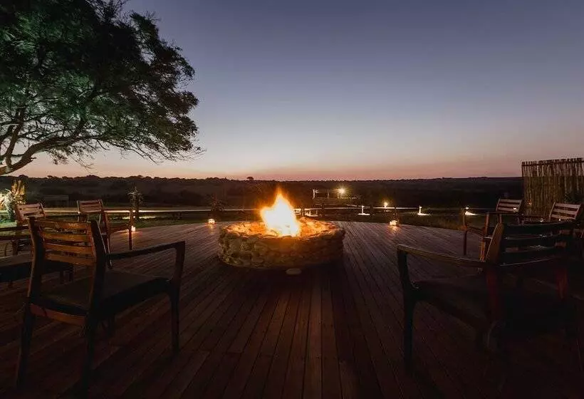 Hlosi Game Lodge   Amakhala Game Reserve