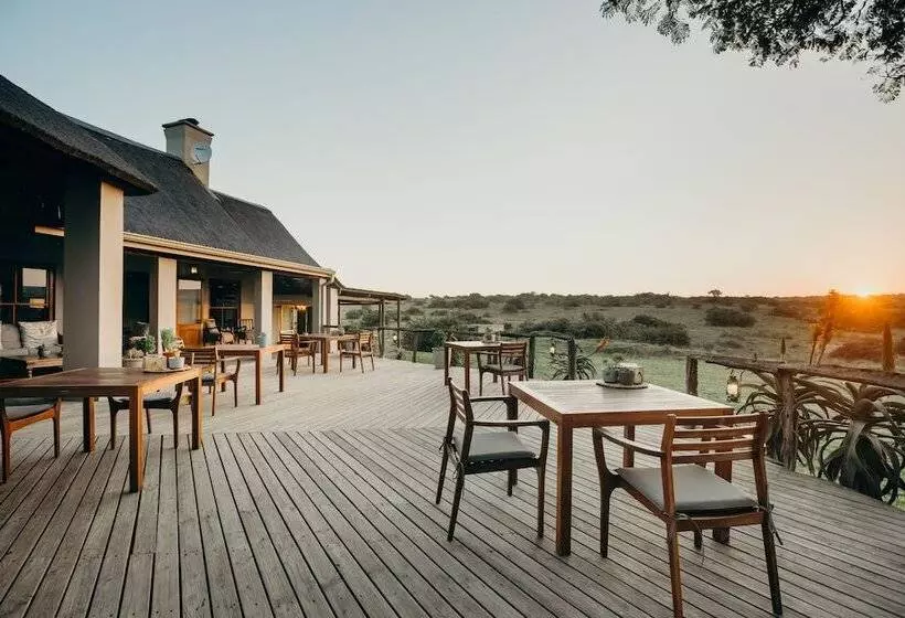 Hlosi Game Lodge   Amakhala Game Reserve