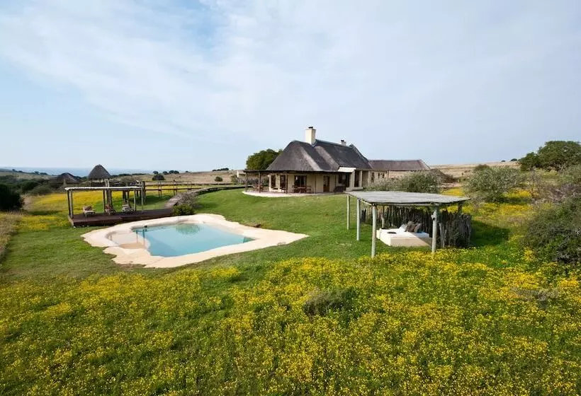 Hlosi Game Lodge   Amakhala Game Reserve