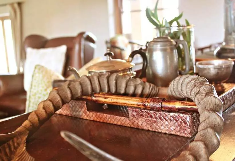 Hlosi Game Lodge   Amakhala Game Reserve