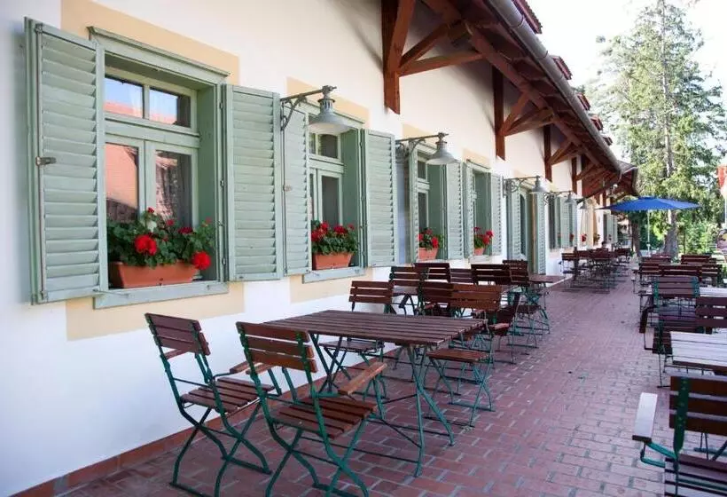 Отель Abbazia Country Club