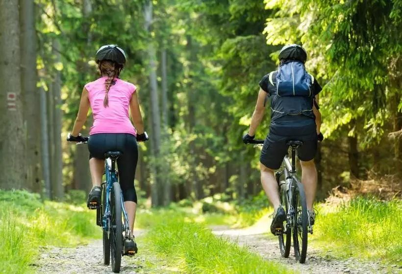 Отель Penzion Tematin