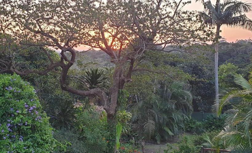 فندق Sunbirds Bed & Breakfast