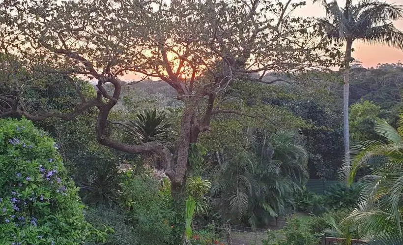 Отель Sunbirds Bed & Breakfast