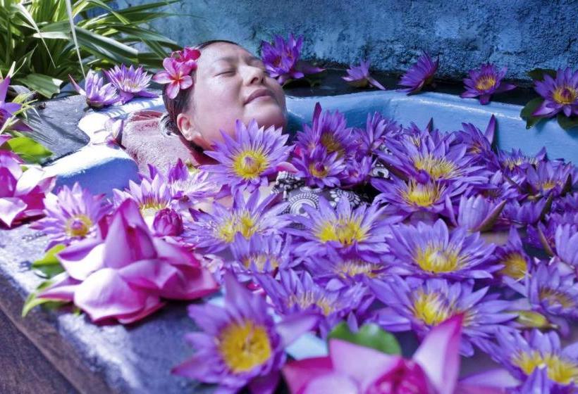 Life Ayurveda Resort