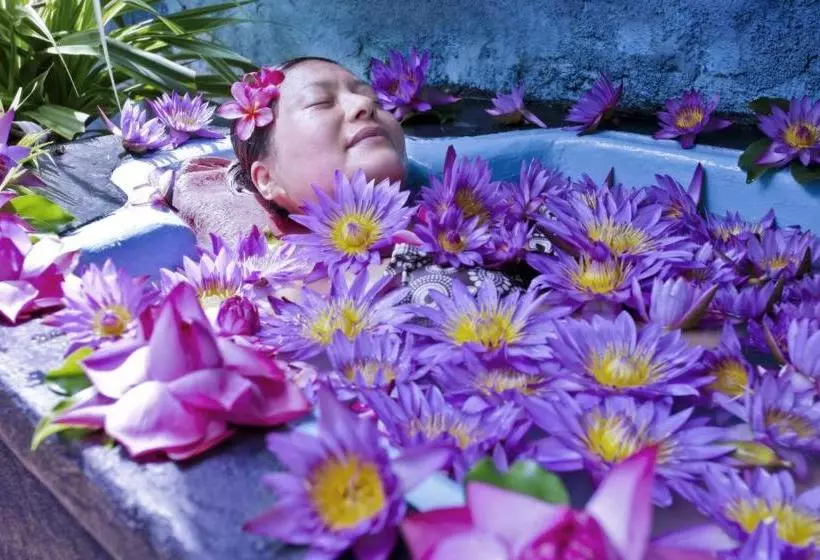 Life Ayurveda Resort