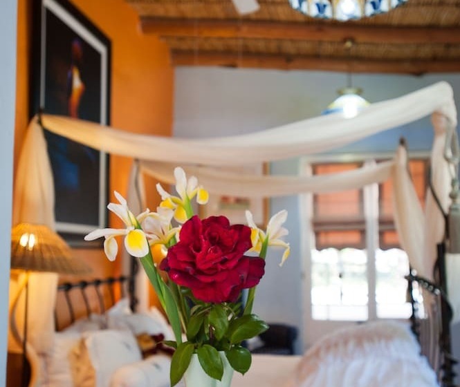 膳宿费 7 Church Street Guest House