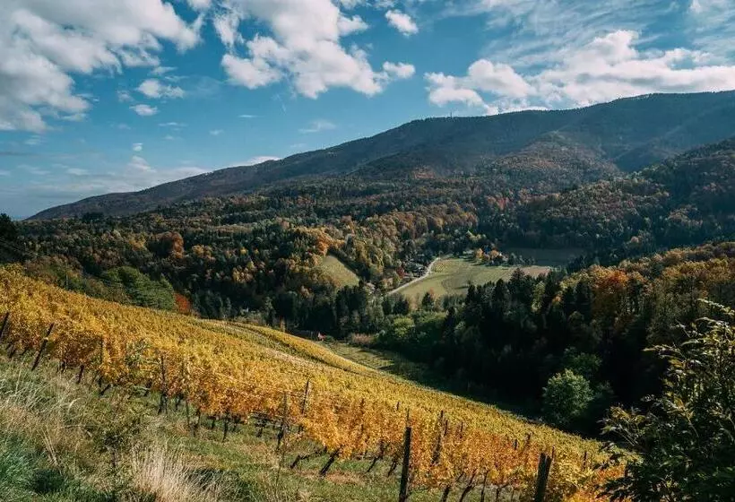 پانسیون Guest House Pri Gondoli