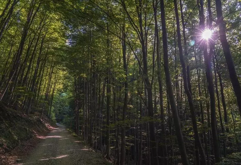 پانسیون Guest House Pri Gondoli