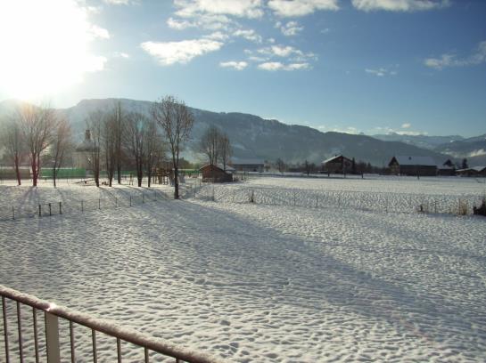 Vitalhotel Quellengarten   Bed & Breakfast