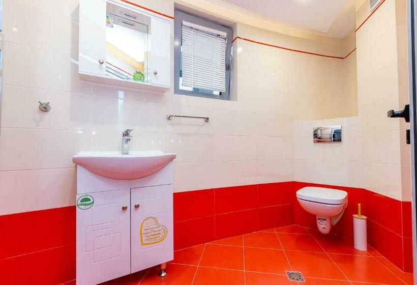 мезонет пасажио