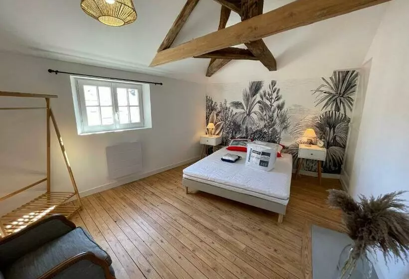 Appartement Le Voltaire Centre Ville Climatisé