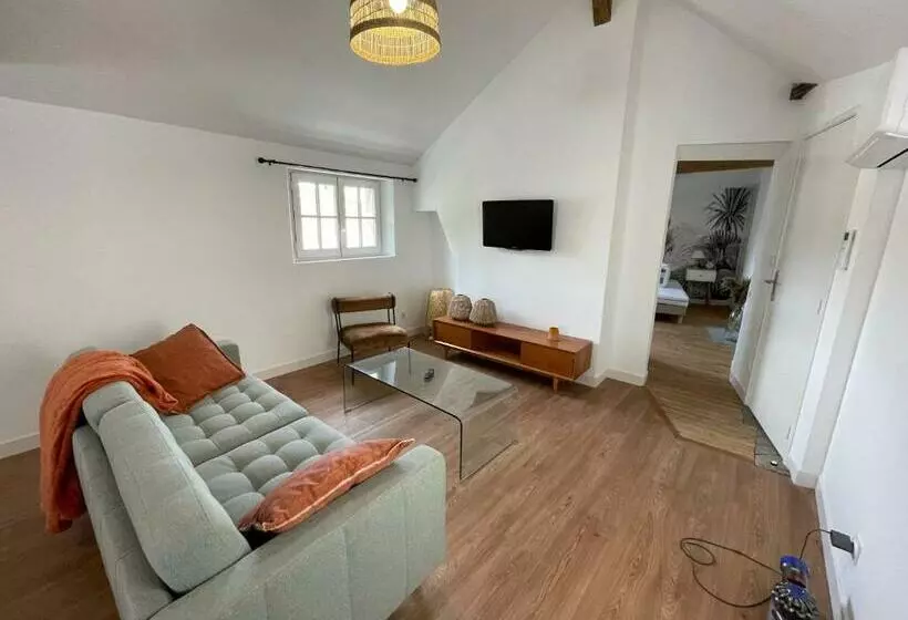 Appartement Le Voltaire Centre Ville Climatisé