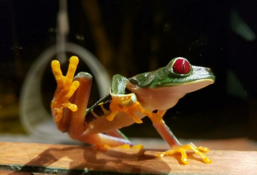 Casita Bribri At Margarita Hills