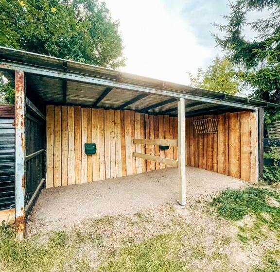 Chalet Mit Gästehaus In Der Natur Pferdeweide