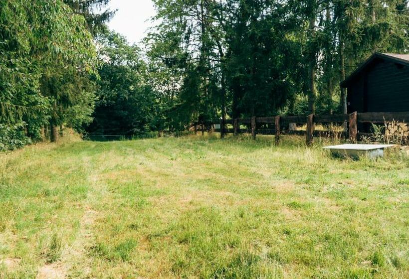 Chalet Mit Gästehaus In Der Natur Pferdeweide