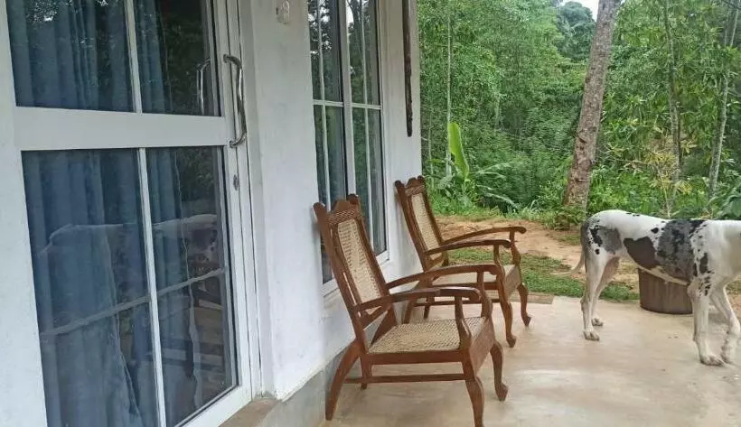 Little Wood Villa And Retreats Doluwa