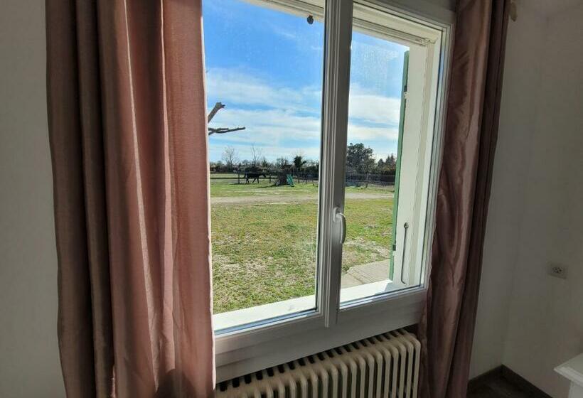 Appartement Indépendant Proche étang De L Olivier