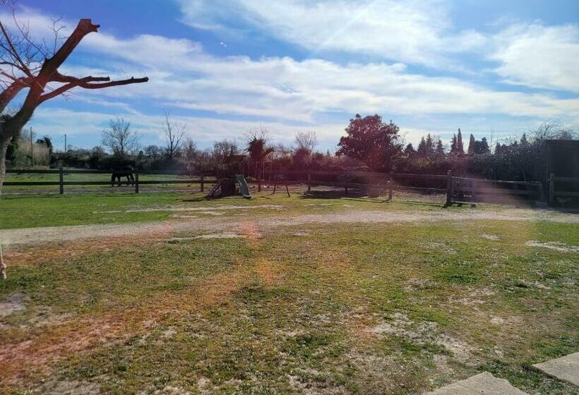 Appartement Indépendant Proche étang De L Olivier