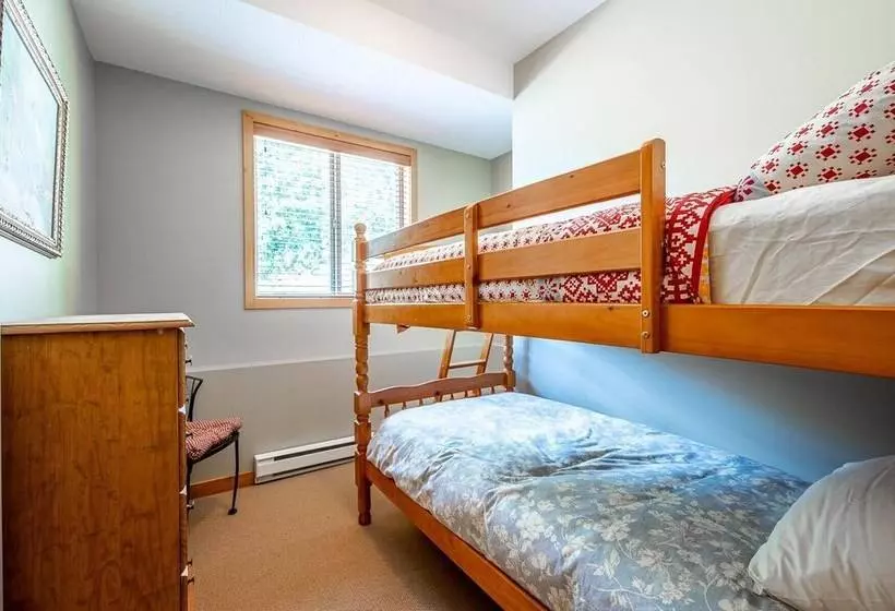 Bear S Paw Chalet   Amazing Location & Ski In/out