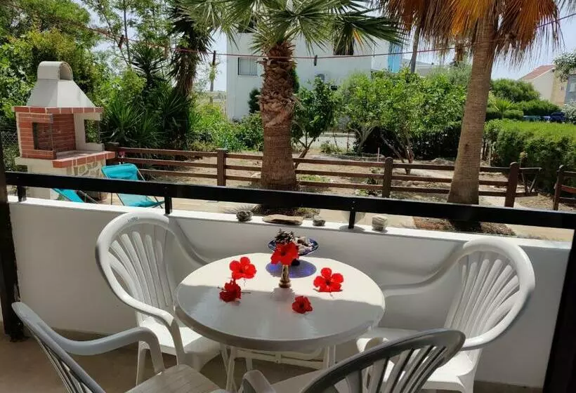 Palm Garden Paradise