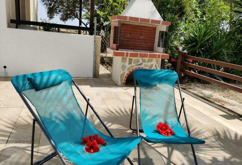 Palm Garden Paradise