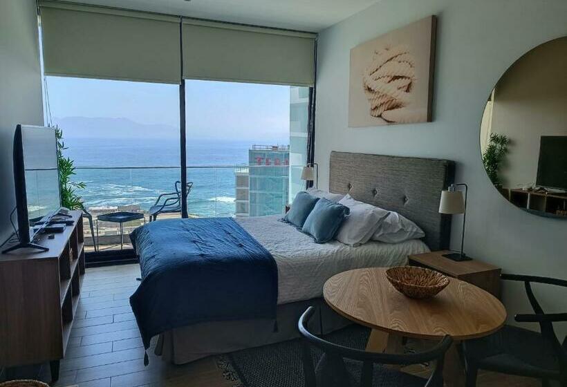 Hom I Hermoso Estudio, Estacionamiento Pnb 2017