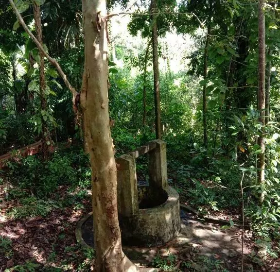 Green Rest House