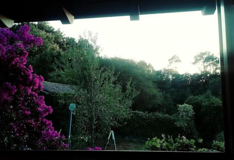 Acogedora Cabaña Con Piscina