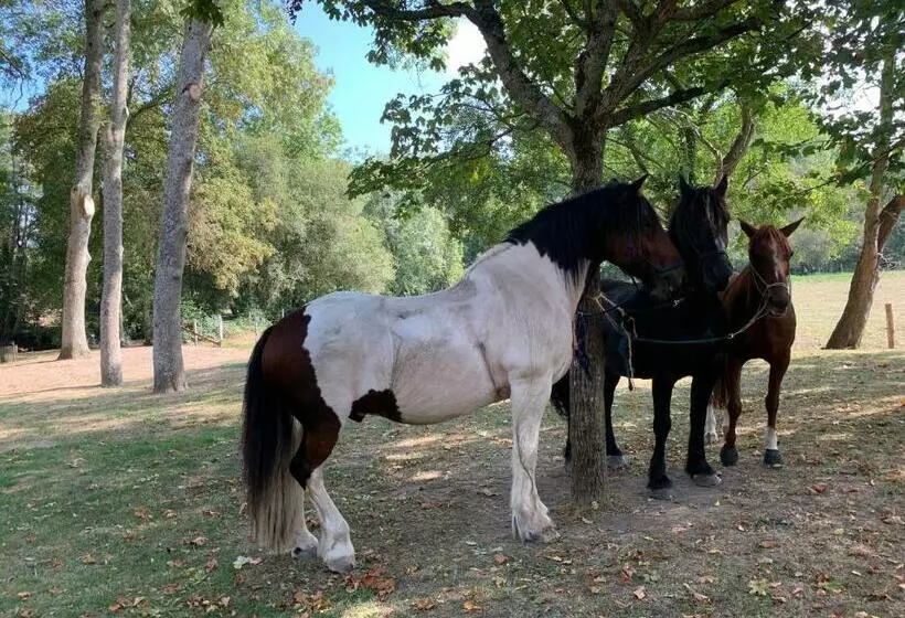 Les Marches Du Château   Gîte Centre De Nogent Le Rotrou