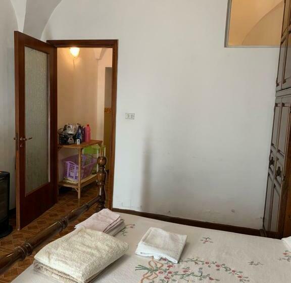 Coccinella San Marco