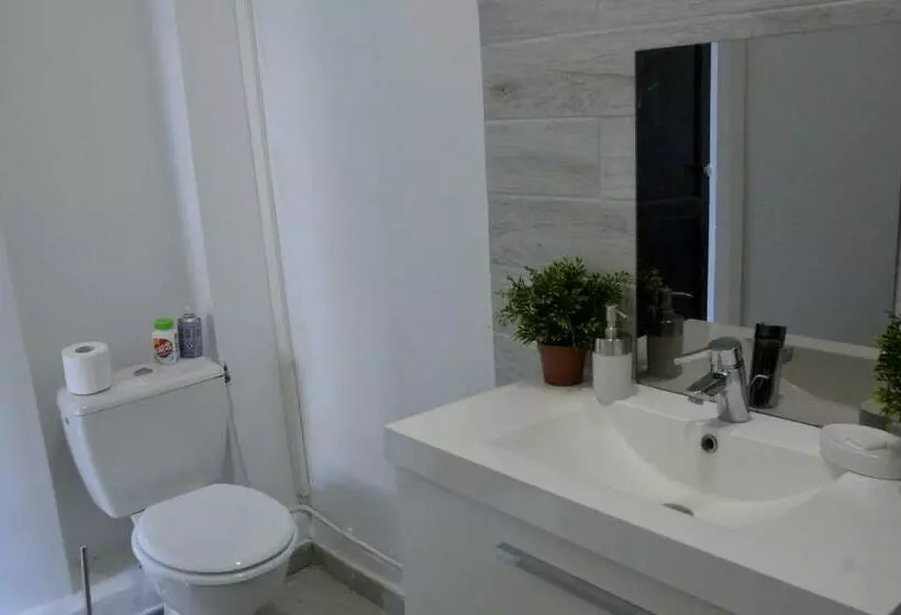 Joli T2 Refait à Neuf, Lumineux Et Accessible