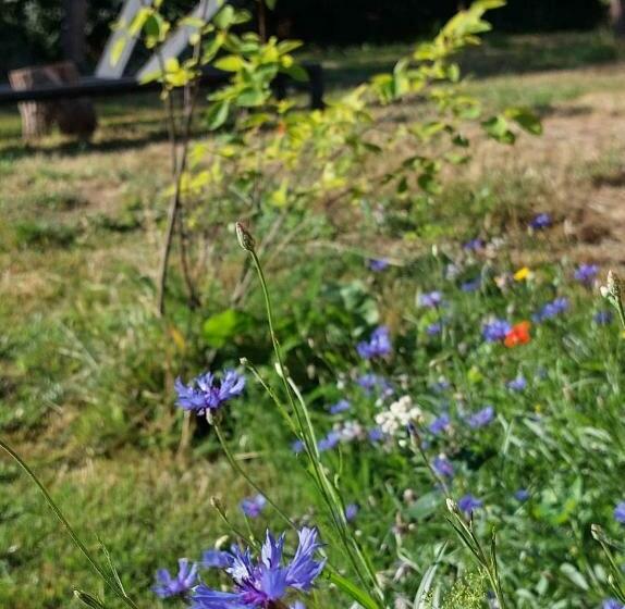Geniet Van Alle Comfort Tussen Ieper En Heuvelland