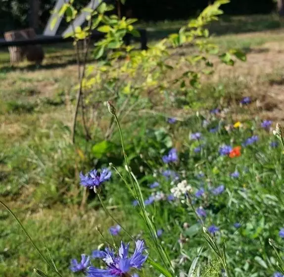 Geniet Van Alle Comfort Tussen Ieper En Heuvelland