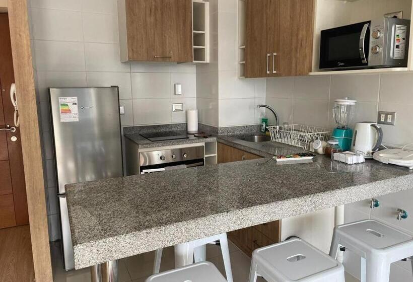 Departamento Chillan Céntrico