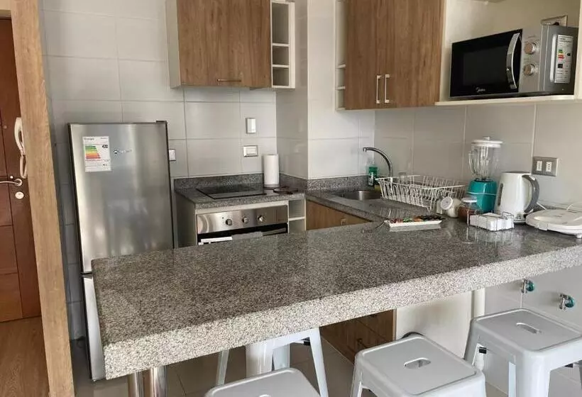 Departamento Chillan Céntrico