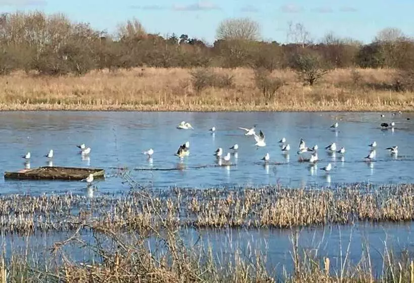 Stunning Luxury Apartment Near Motherwell