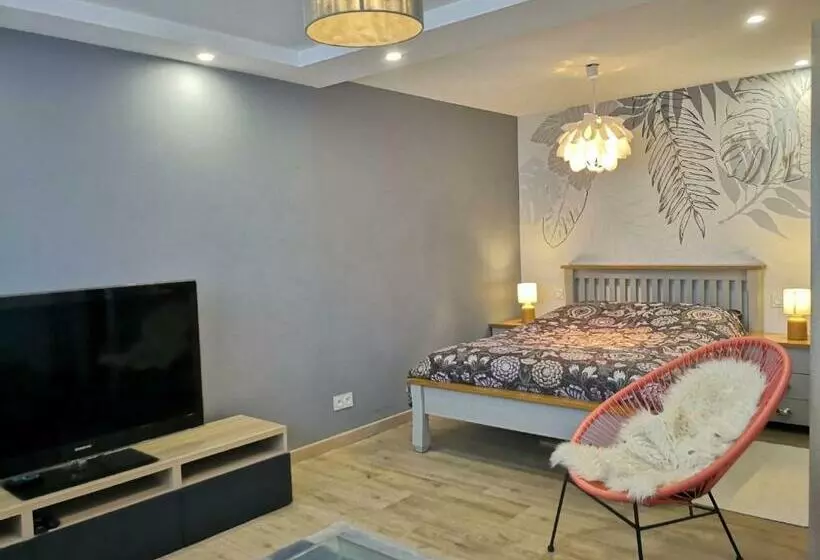 Superbe Cosy T1 Bis Studio 40m2 Indépendant En Maison Avec Parking Gratuit