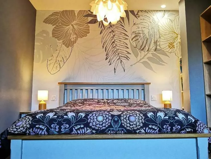 Superbe Cosy T1 Bis Studio 40m2 Indépendant En Maison Avec Parking Gratuit