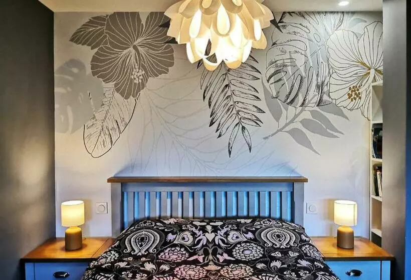 Superbe Cosy T1 Bis Studio 40m2 Indépendant En Maison Avec Parking Gratuit