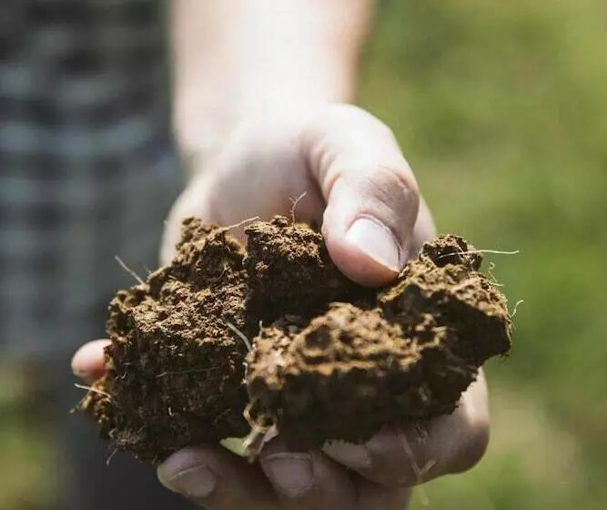Agriturismo Villa Venti