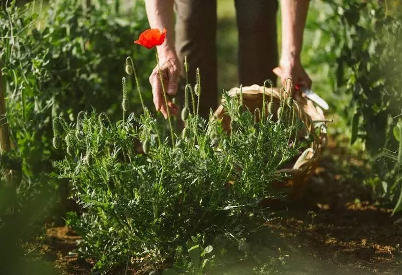 Agriturismo Villa Venti