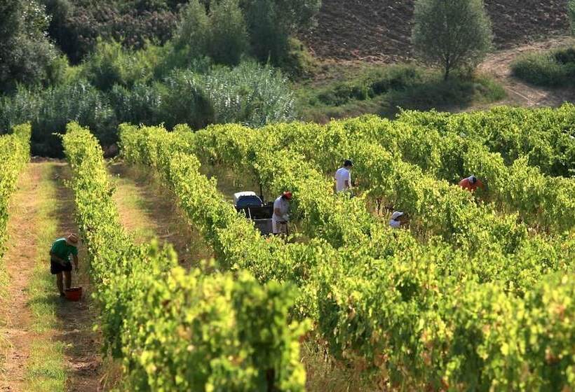 Agriturismo Villa Venti