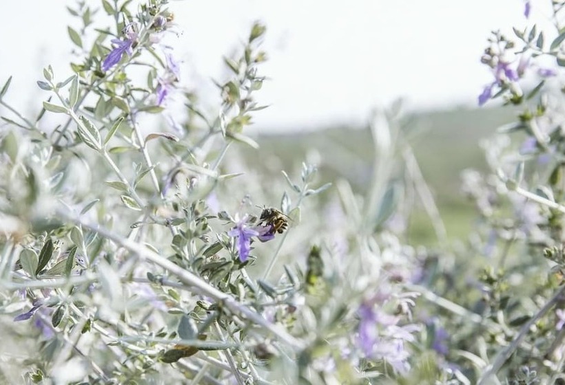 Agriturismo Villa Venti