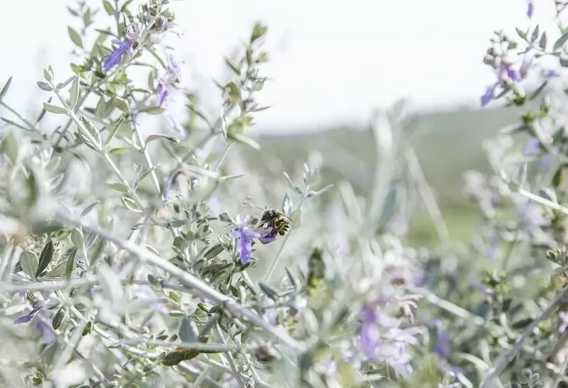 Agriturismo Villa Venti