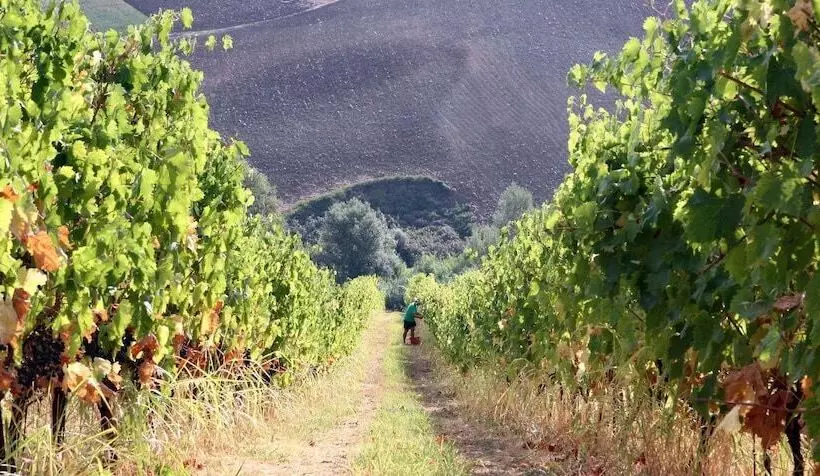 Agriturismo Villa Venti