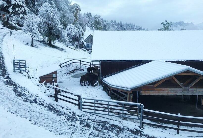 住宿加早餐  Garni Brigitte