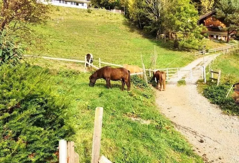 مبيت وإفطار Garni Brigitte