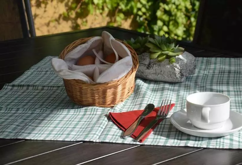 Aamiaismajoitus (B&B) Gästehaus Schmidt