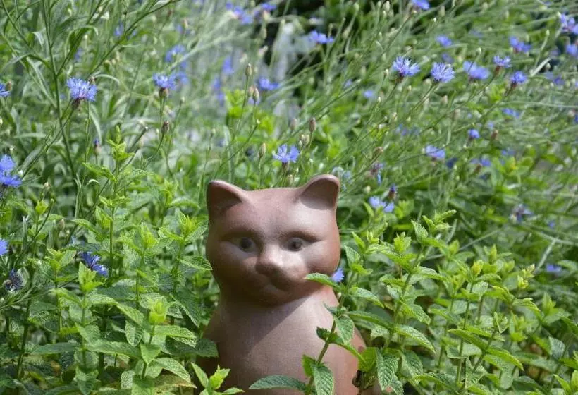 Aamiaismajoitus (B&B) Gästehaus Schmidt